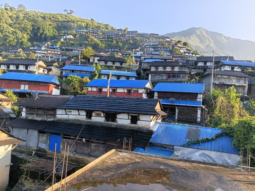 Densely clustered houses with blue and slate roofs nestled on a terraced green hillside in Singdi village.