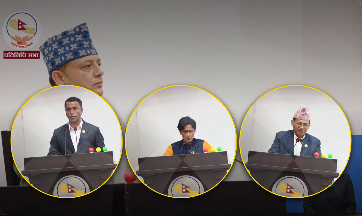 Lawmakers addressing the House of Representatives from the parliamentary podium.