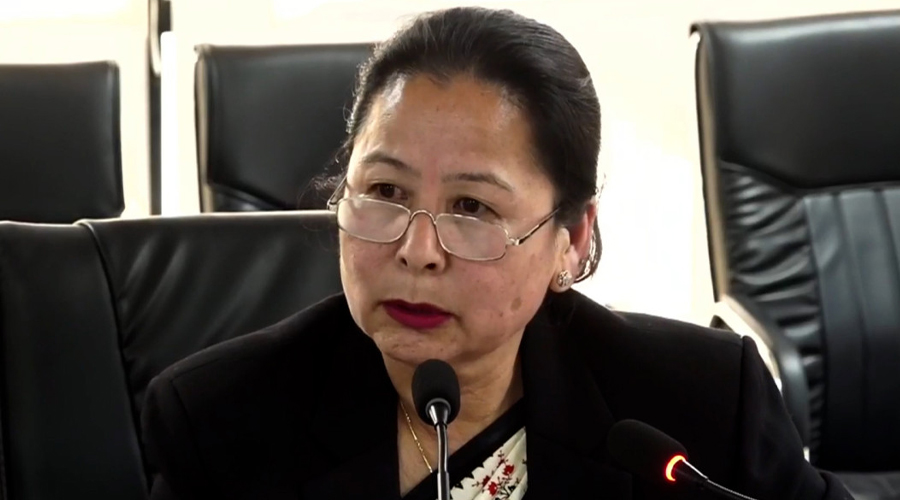 Lawmaker Saraswati Lama addresses a policy forum on disaster legislation.
